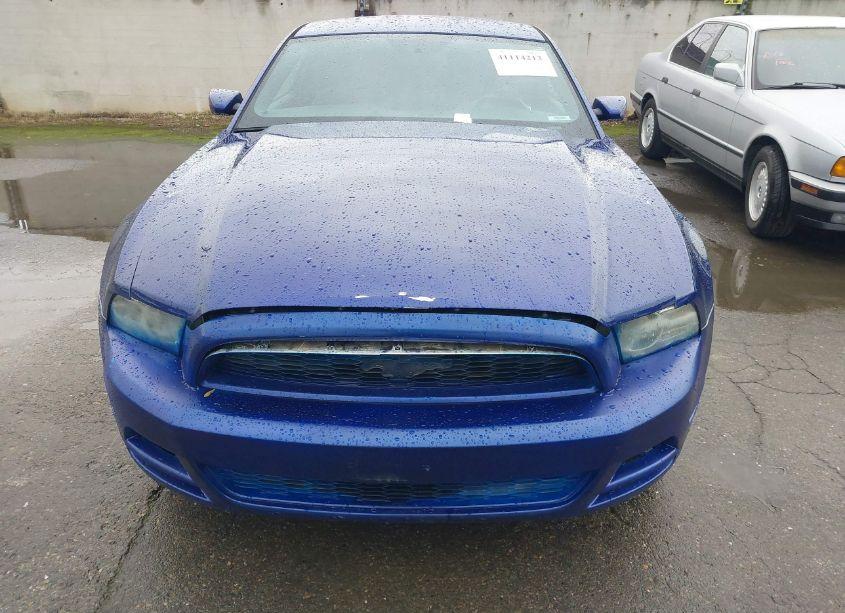 Photo 6 of 2013 Ford Mustang V6 (VIN 1ZVBP8AM3D5259740)