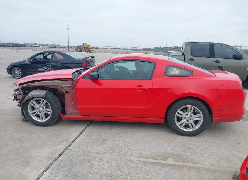 Photo 15 of 2013 Ford Mustang V6 (VIN 1ZVBP8AM3D5278840)