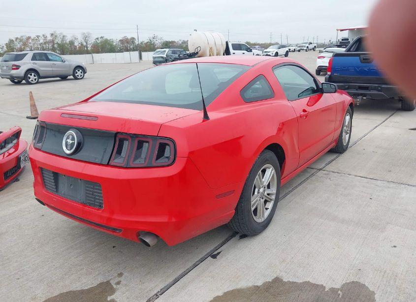 Photo 4 of 2013 Ford Mustang V6 (VIN 1ZVBP8AM3D5278840)