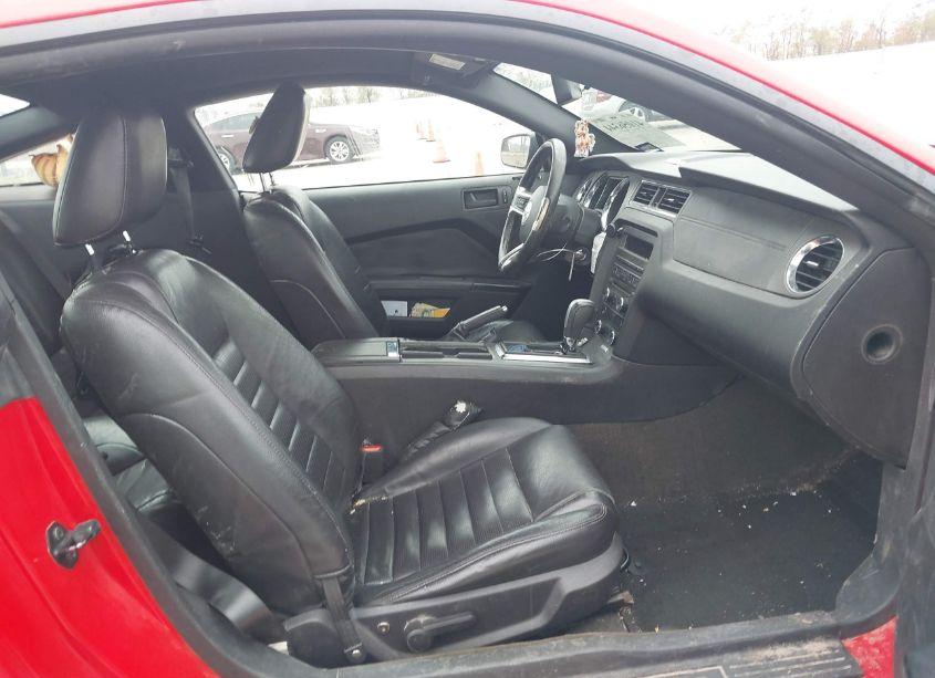Photo 5 of 2013 Ford Mustang V6 (VIN 1ZVBP8AM3D5278840)