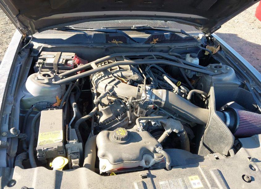 Photo 10 of 2014 Ford Mustang V6 PREMIUM (VIN 1ZVBP8AM3E5206523)