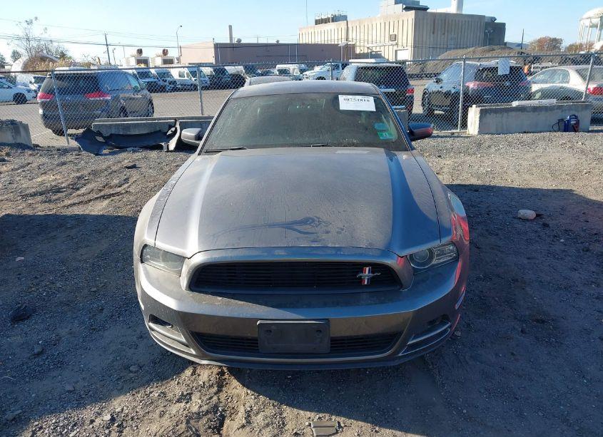 Photo 12 of 2014 Ford Mustang V6 PREMIUM (VIN 1ZVBP8AM3E5206523)