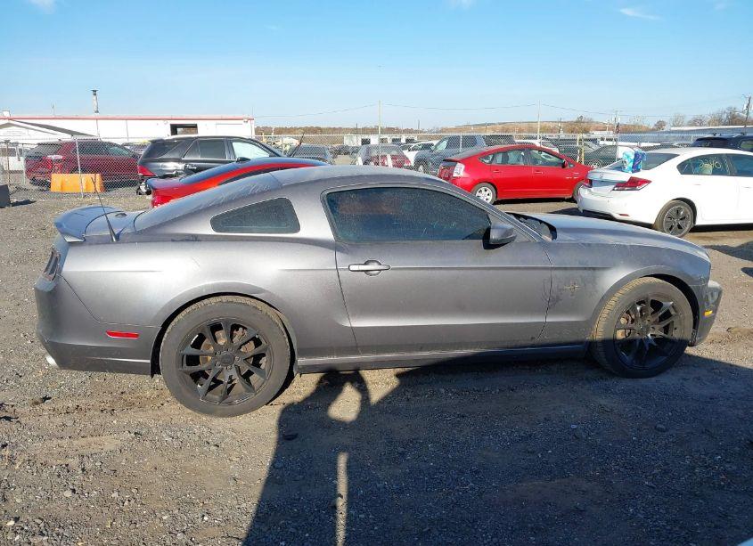 Photo 13 of 2014 Ford Mustang V6 PREMIUM (VIN 1ZVBP8AM3E5206523)
