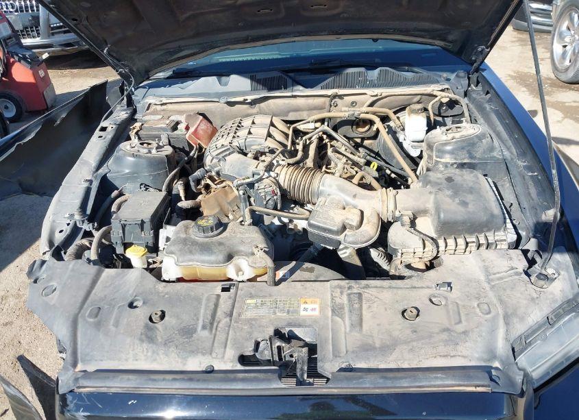 Photo 10 of 2014 Ford Mustang V6 (VIN 1ZVBP8AM3E5212452)