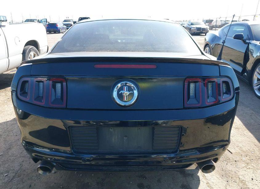 Photo 17 of 2014 Ford Mustang V6 (VIN 1ZVBP8AM3E5212452)