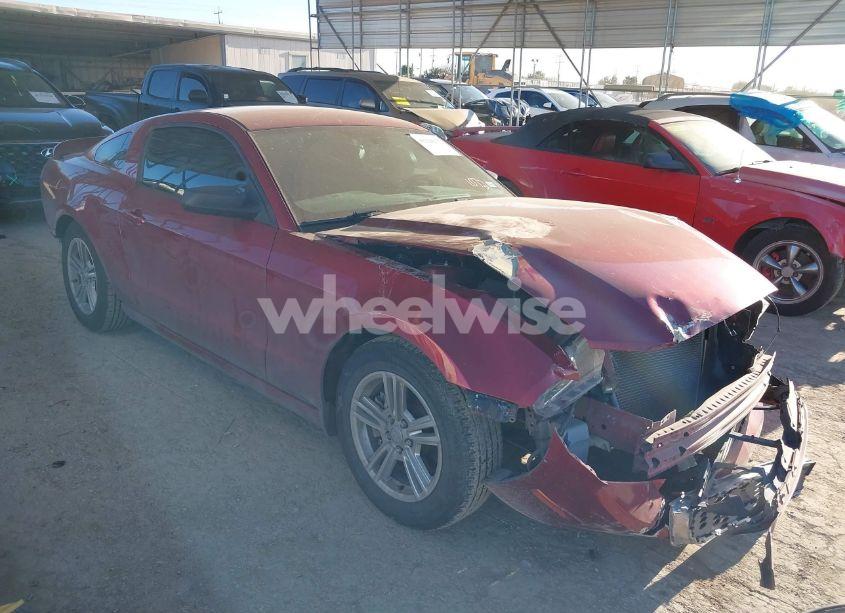 2014 Ford Mustang V6 (VIN 1ZVBP8AM3E5217196) main photo
