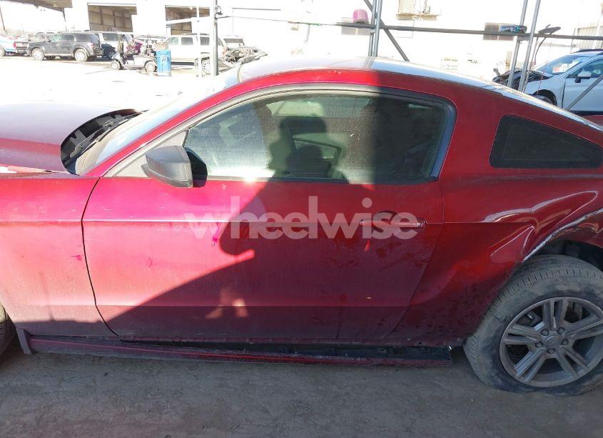 Photo 14 of 2014 Ford Mustang V6 (VIN 1ZVBP8AM3E5217196)