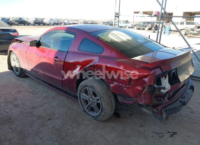 Photo 3 of 2014 Ford Mustang V6 (VIN 1ZVBP8AM3E5217196)