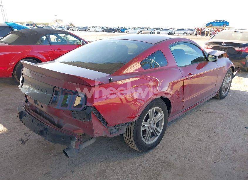 Photo 4 of 2014 Ford Mustang V6 (VIN 1ZVBP8AM3E5217196)