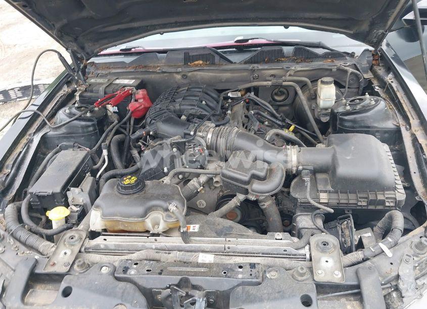 Photo 10 of 2014 Ford Mustang V6 PREMIUM (VIN 1ZVBP8AM3E5244110)