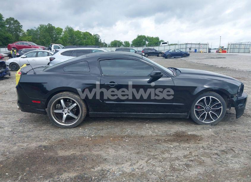 Photo 13 of 2014 Ford Mustang V6 PREMIUM (VIN 1ZVBP8AM3E5244110)