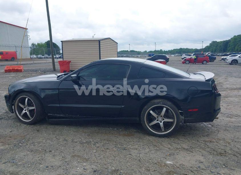 Photo 14 of 2014 Ford Mustang V6 PREMIUM (VIN 1ZVBP8AM3E5244110)