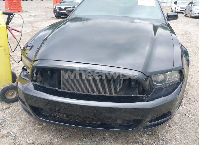 Photo 6 of 2014 Ford Mustang V6 PREMIUM (VIN 1ZVBP8AM3E5244110)