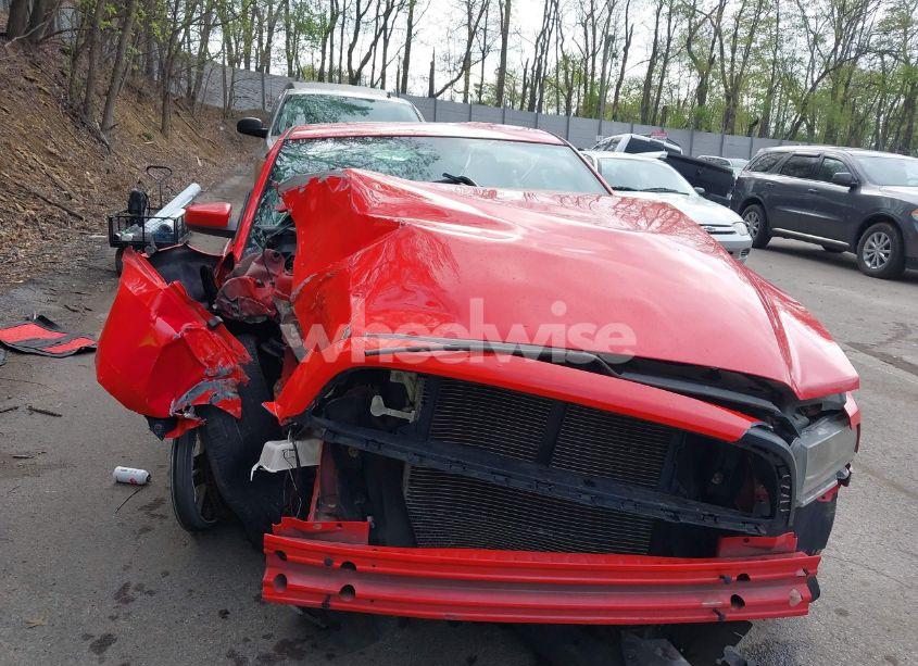 Photo 13 of 2014 Ford Mustang V6 PREMIUM (VIN 1ZVBP8AM3E5271971)