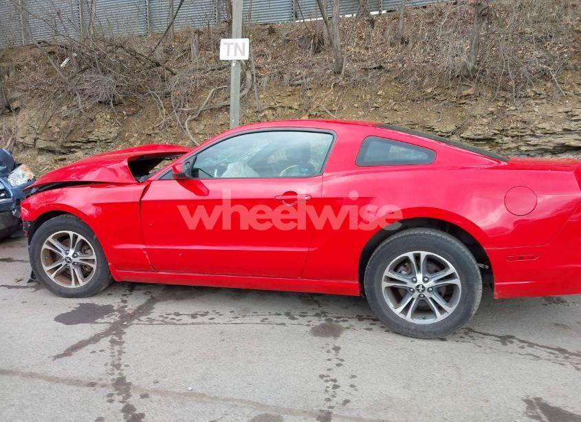 Photo 15 of 2014 Ford Mustang V6 PREMIUM (VIN 1ZVBP8AM3E5271971)