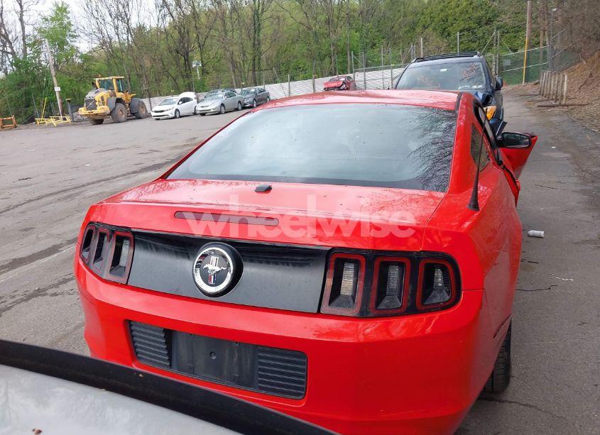 Photo 17 of 2014 Ford Mustang V6 PREMIUM (VIN 1ZVBP8AM3E5271971)