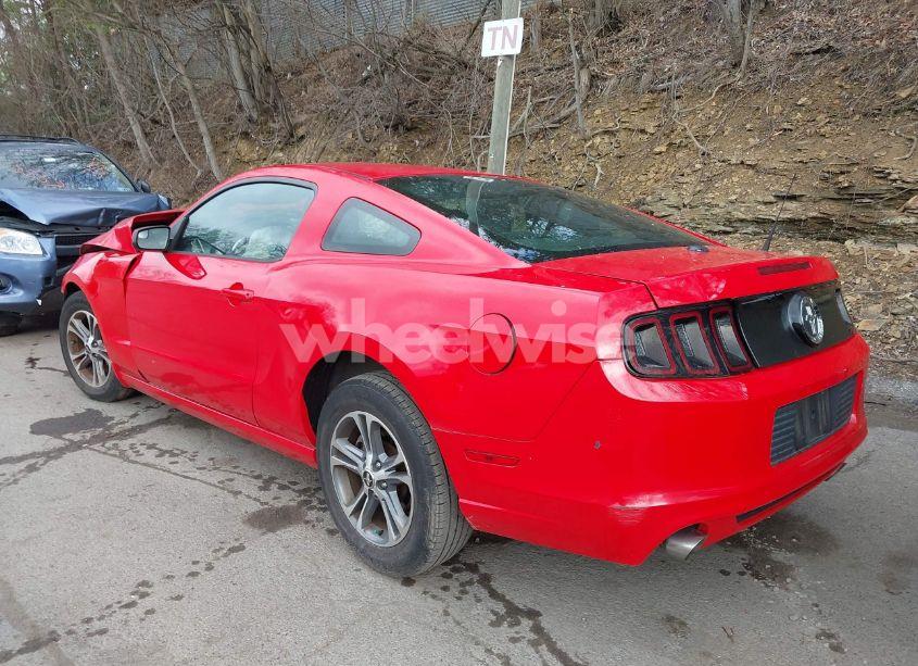Photo 3 of 2014 Ford Mustang V6 PREMIUM (VIN 1ZVBP8AM3E5271971)