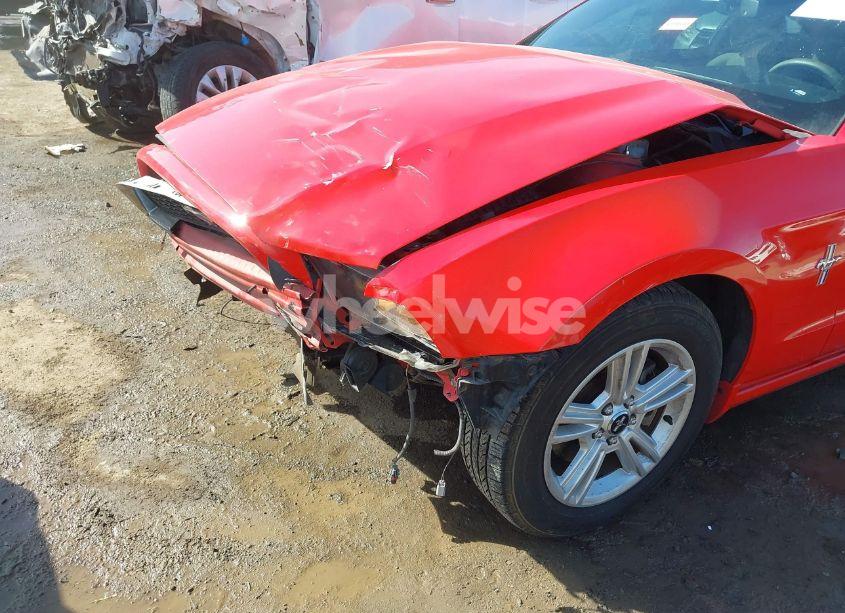 Photo 6 of 2014 Ford Mustang V6 (VIN 1ZVBP8AM3E5311367)