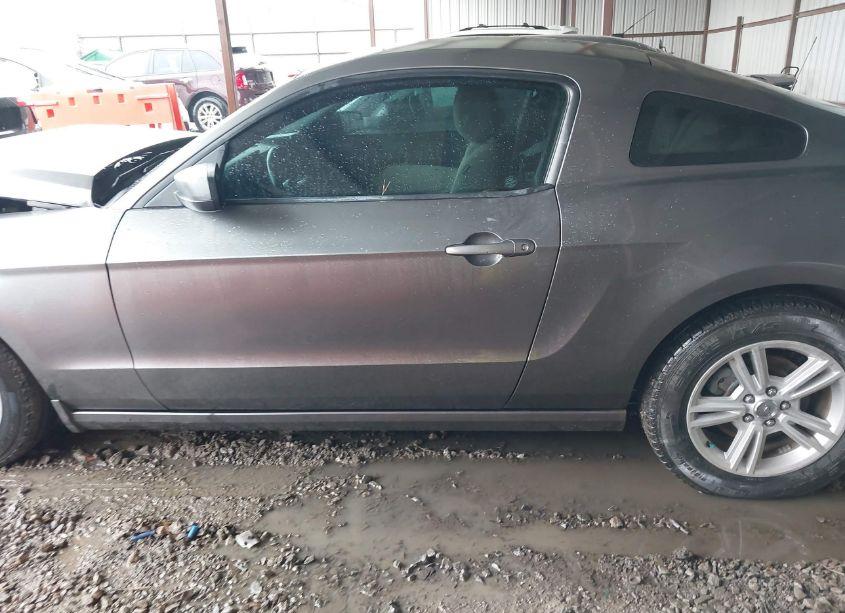 Photo 15 of 2014 Ford Mustang V6 (VIN 1ZVBP8AM3E5332042)