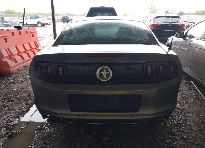 Photo 17 of 2014 Ford Mustang V6 (VIN 1ZVBP8AM3E5332042)