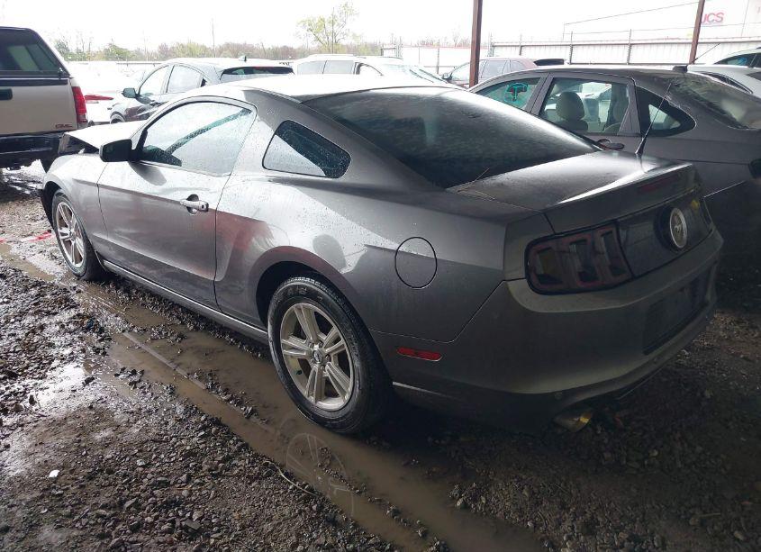 Photo 3 of 2014 Ford Mustang V6 (VIN 1ZVBP8AM3E5332042)