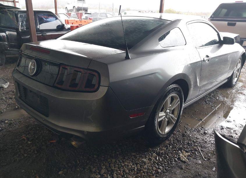 Photo 4 of 2014 Ford Mustang V6 (VIN 1ZVBP8AM3E5332042)