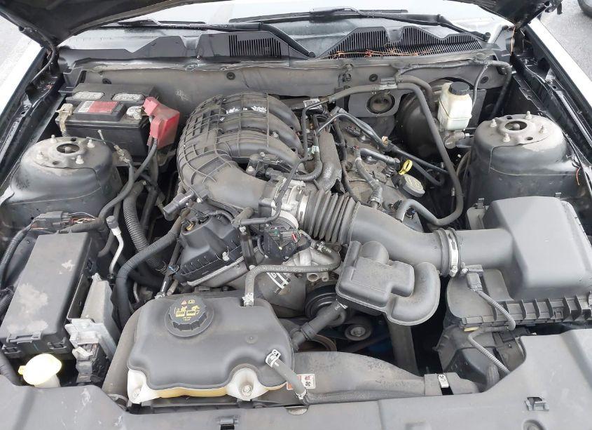 Photo 10 of 2014 Ford Mustang V6 (VIN 1ZVBP8AM3E5333207)