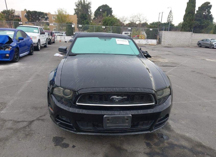 Photo 12 of 2014 Ford Mustang V6 (VIN 1ZVBP8AM3E5333207)