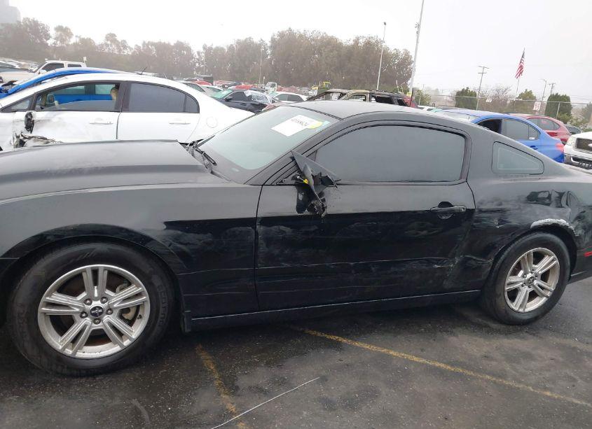 Photo 14 of 2014 Ford Mustang V6 (VIN 1ZVBP8AM3E5333207)
