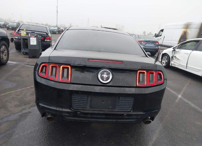 Photo 16 of 2014 Ford Mustang V6 (VIN 1ZVBP8AM3E5333207)