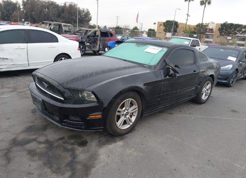 Photo 2 of 2014 Ford Mustang V6 (VIN 1ZVBP8AM3E5333207)