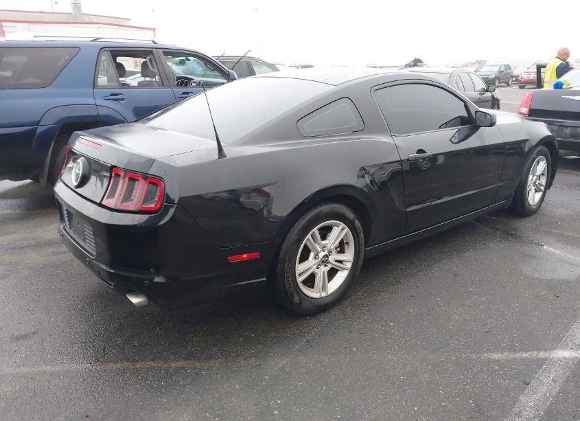 Photo 4 of 2014 Ford Mustang V6 (VIN 1ZVBP8AM3E5333207)