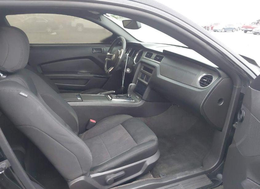 Photo 5 of 2014 Ford Mustang V6 (VIN 1ZVBP8AM3E5333207)