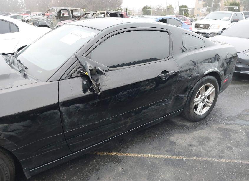 Photo 6 of 2014 Ford Mustang V6 (VIN 1ZVBP8AM3E5333207)