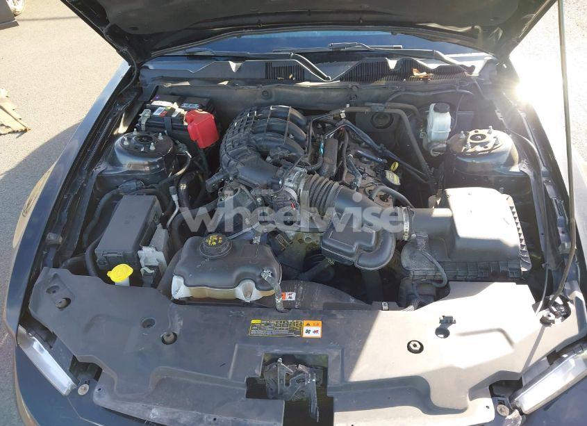 Photo 10 of 2011 Ford Mustang V6 (VIN 1ZVBP8AM4B5116826)