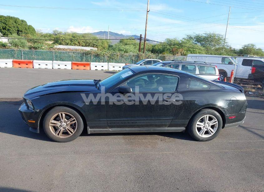 Photo 14 of 2011 Ford Mustang V6 (VIN 1ZVBP8AM4B5116826)