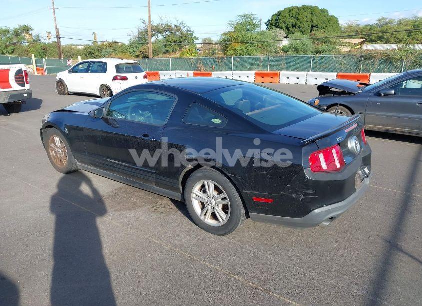 Photo 3 of 2011 Ford Mustang V6 (VIN 1ZVBP8AM4B5116826)