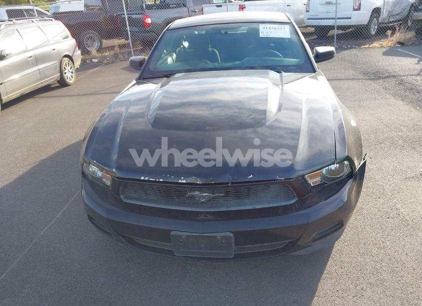 Photo 6 of 2011 Ford Mustang V6 (VIN 1ZVBP8AM4B5116826)