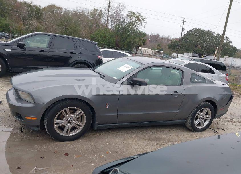 Photo 14 of 2011 Ford Mustang V6 (VIN 1ZVBP8AM4B5118902)