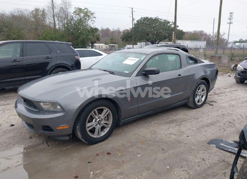 Photo 2 of 2011 Ford Mustang V6 (VIN 1ZVBP8AM4B5118902)