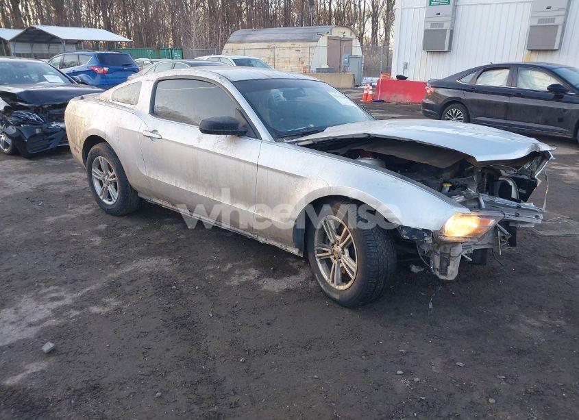 2012 Ford Mustang V6 (VIN 1ZVBP8AM4C5206950) main photo