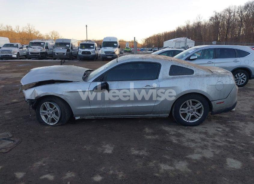 Photo 14 of 2012 Ford Mustang V6 (VIN 1ZVBP8AM4C5206950)