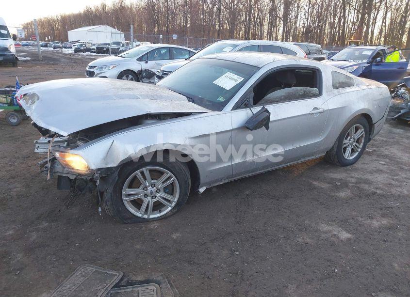 Photo 2 of 2012 Ford Mustang V6 (VIN 1ZVBP8AM4C5206950)