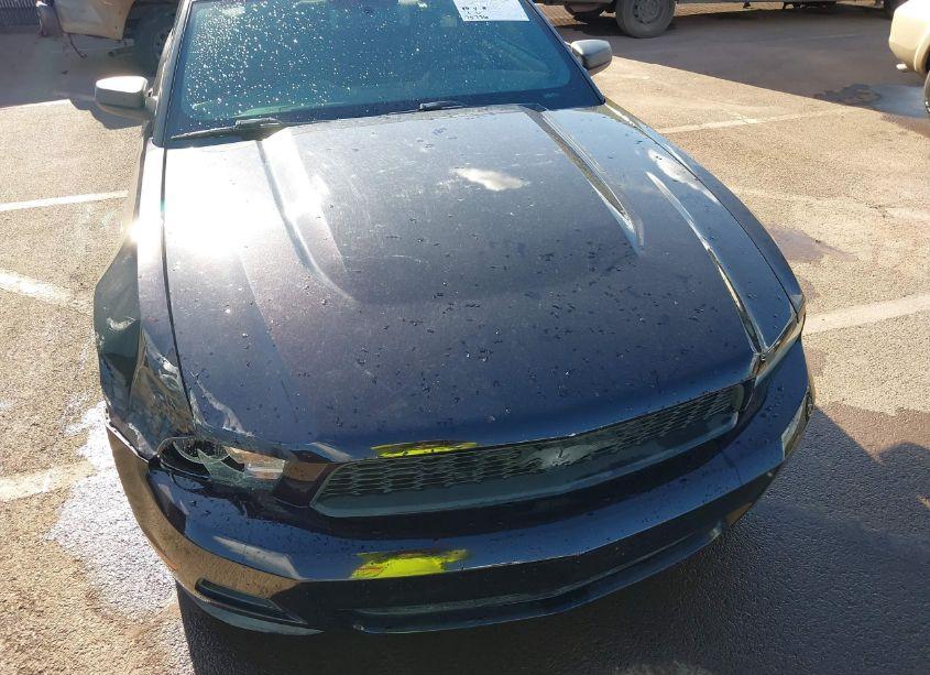 Photo 6 of 2012 Ford Mustang V6 (VIN 1ZVBP8AM4C5210335)