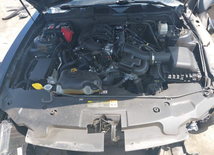 Photo 10 of 2012 Ford Mustang V6 (VIN 1ZVBP8AM4C5227149)
