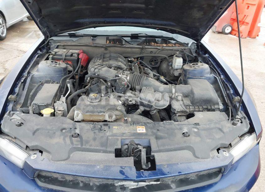 Photo 10 of 2012 Ford Mustang V6 (VIN 1ZVBP8AM4C5245151)