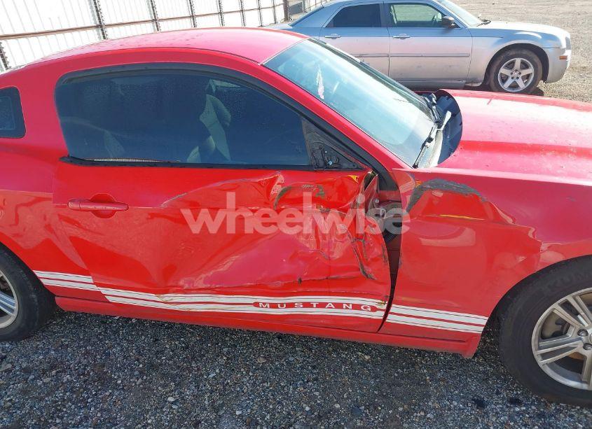 Photo 12 of 2013 Ford Mustang V6 (VIN 1ZVBP8AM4D5215407)