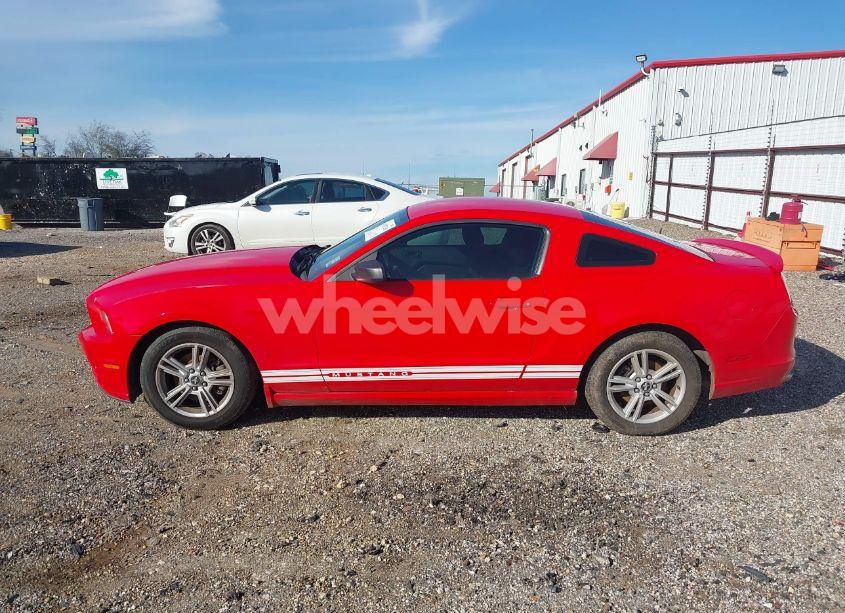Photo 15 of 2013 Ford Mustang V6 (VIN 1ZVBP8AM4D5215407)