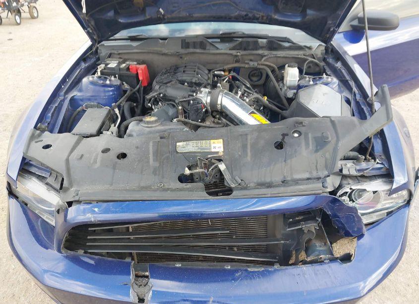 Photo 10 of 2013 Ford Mustang V6 (VIN 1ZVBP8AM4D5260864)