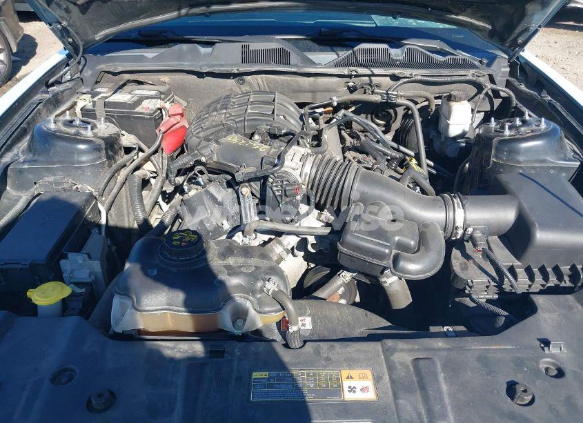 Photo 10 of 2013 Ford Mustang V6 (VIN 1ZVBP8AM4D5265627)